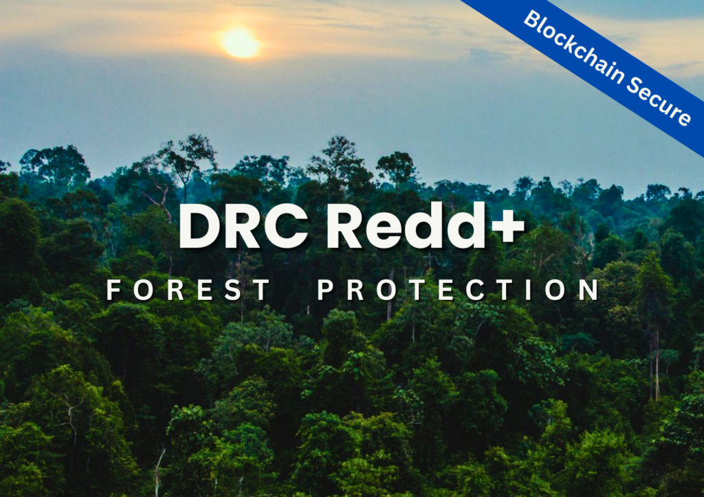 Carbon Offsetting through DRC Redd+ Forest Protection