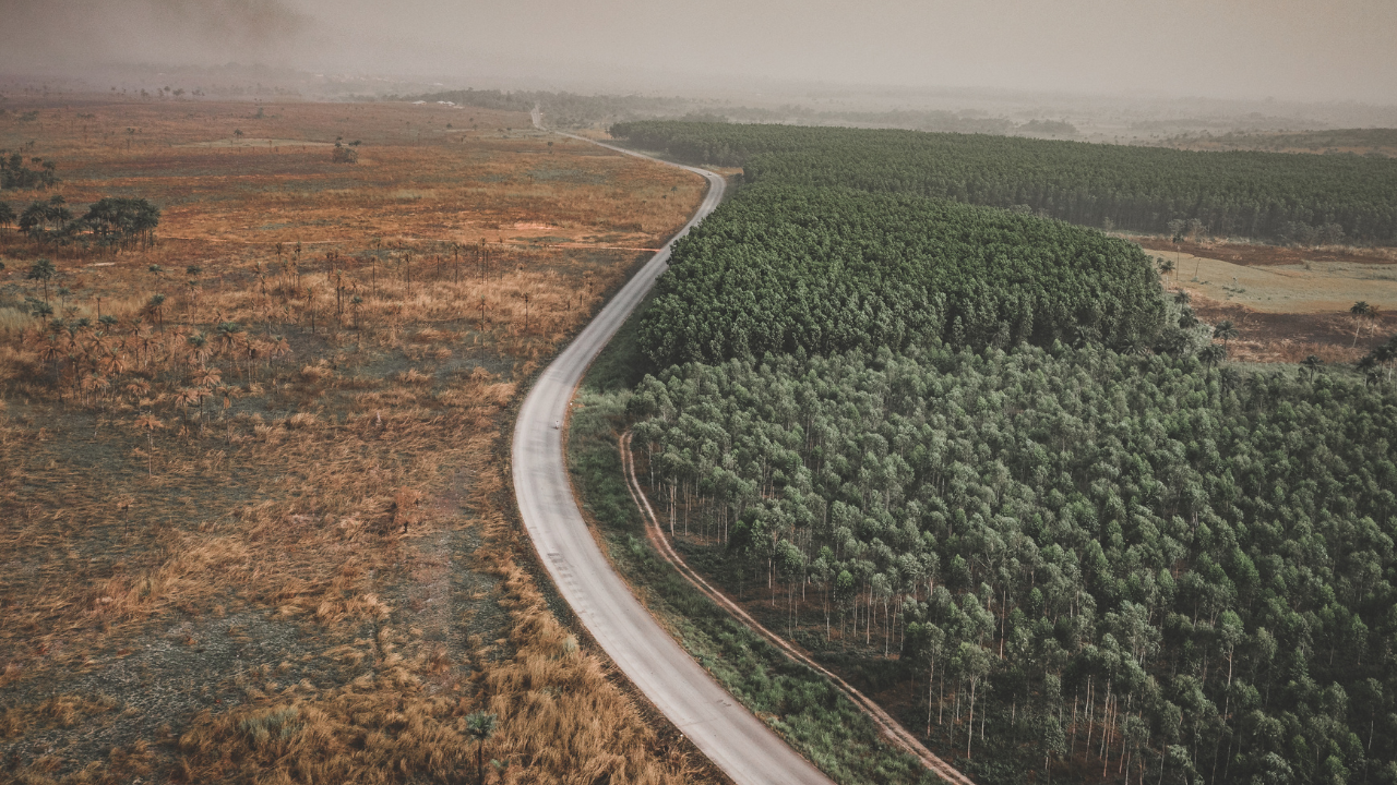 Deforestation before and after - offset-carbon.org